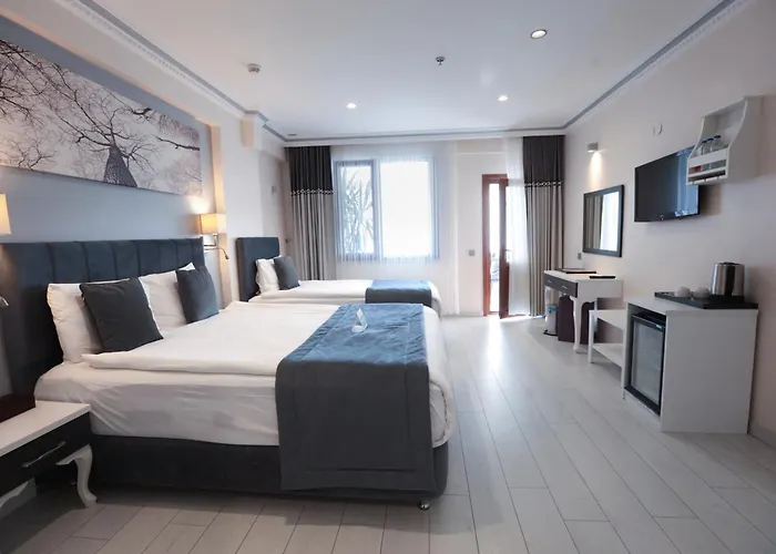 Skalion Отель Стамбул