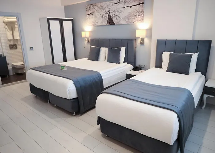 Отель Skalion Стамбул