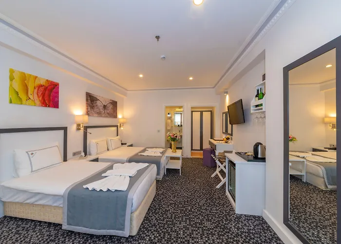 Skalion Hotel&spa Hotel Provincia di Istanbul