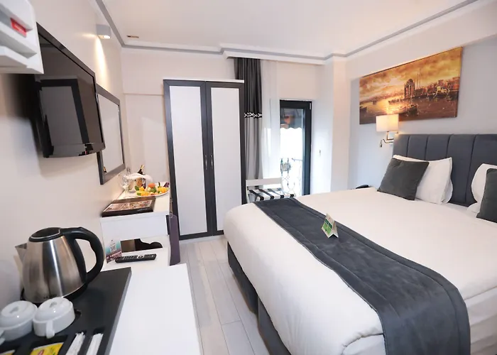 Skalion Hotel&spa Hotel Provincia di Istanbul